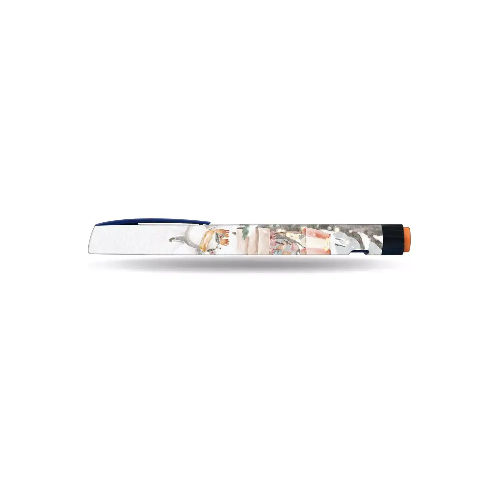 Winter-Themed NovoRapid Flexpen Stickers | Elegant &