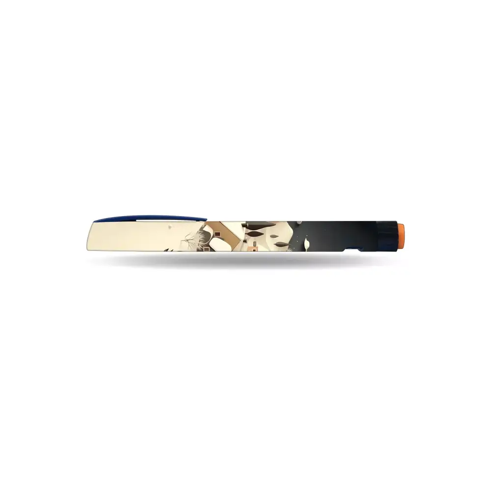 Winter-Themed NovoRapid Flexpen Stickers | Elegant &